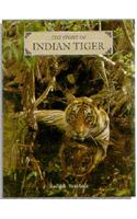 The Story Of Indian Tiger