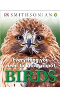 Everything You Need to Know about Birds