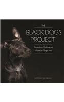 The Black Dogs Project