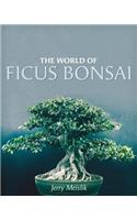 World of Ficus Bonsai