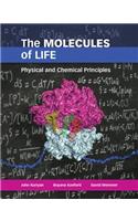 The Molecules of Life