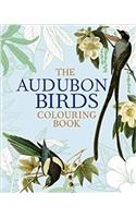 Audubon Birds Colouring Book