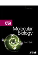 Molecular Biology