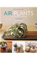 Air Plants