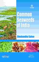 Common Seaweeds of India