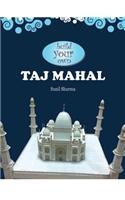 Build Your Own Taj Mahal