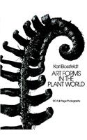 Art Forms in the Plant World