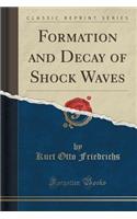 Formation and Decay of Shock Waves (Classic Reprint)