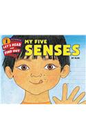 My Five Senses