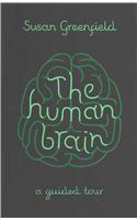 The Human Brain