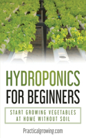 Hydroponics for Beginners