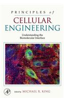 Principles of Cellular Engineering: Understanding the Biomolecular Interface