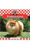 Pomeranians