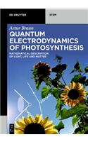 Quantum Electrodynamics of Photosynthesis