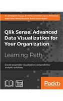 Qlik Sense: Advanced Data Visualization for Your Organization