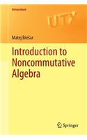 Introduction to Noncommutative Algebra