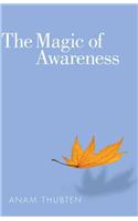 Magic of Awareness