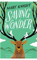 Saving Wonder