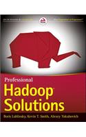 Professional Hadoop Solutions