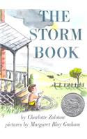 Storm Book