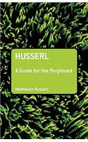 Husserl: A Guide for the Perplexed