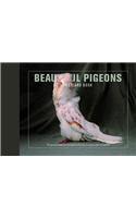 Beautiful Pigeons Postcard Book