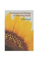 Developmental Biology of Flowering Plants