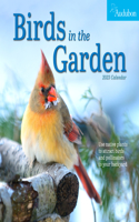 Audubon Birds in the Garden Wall Calendar 2023