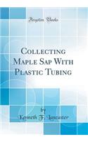 Collecting Maple SAP with Plastic Tubing (Classic Reprint)