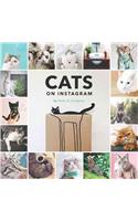 Cats on Instagram