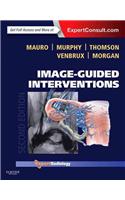 Image-Guided Interventions