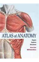 Atlas Of Anatomy