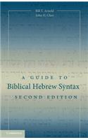 Guide to Biblical Hebrew Syntax