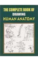 The Complete Book Of Drawing Human Anatomy