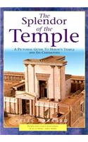 Splendor of the Temple