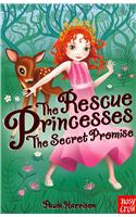 The Rescue Princesses: The Secret Promise