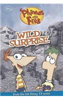 Disney Phineas & Ferb Fiction - Wild Surprise