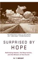 Surprised by Hope