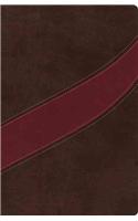 MacArthur Study Bible-NASB-Signature