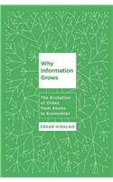 Why Information Grows