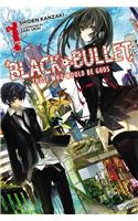 Black Bullet, Vol. 1 (Novel)