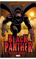 Black Panther: Who is the Black Panther