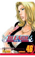 Bleach, Vol. 46