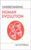 Understanding Human Evolution