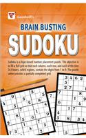 Brain Busting SUDOKU